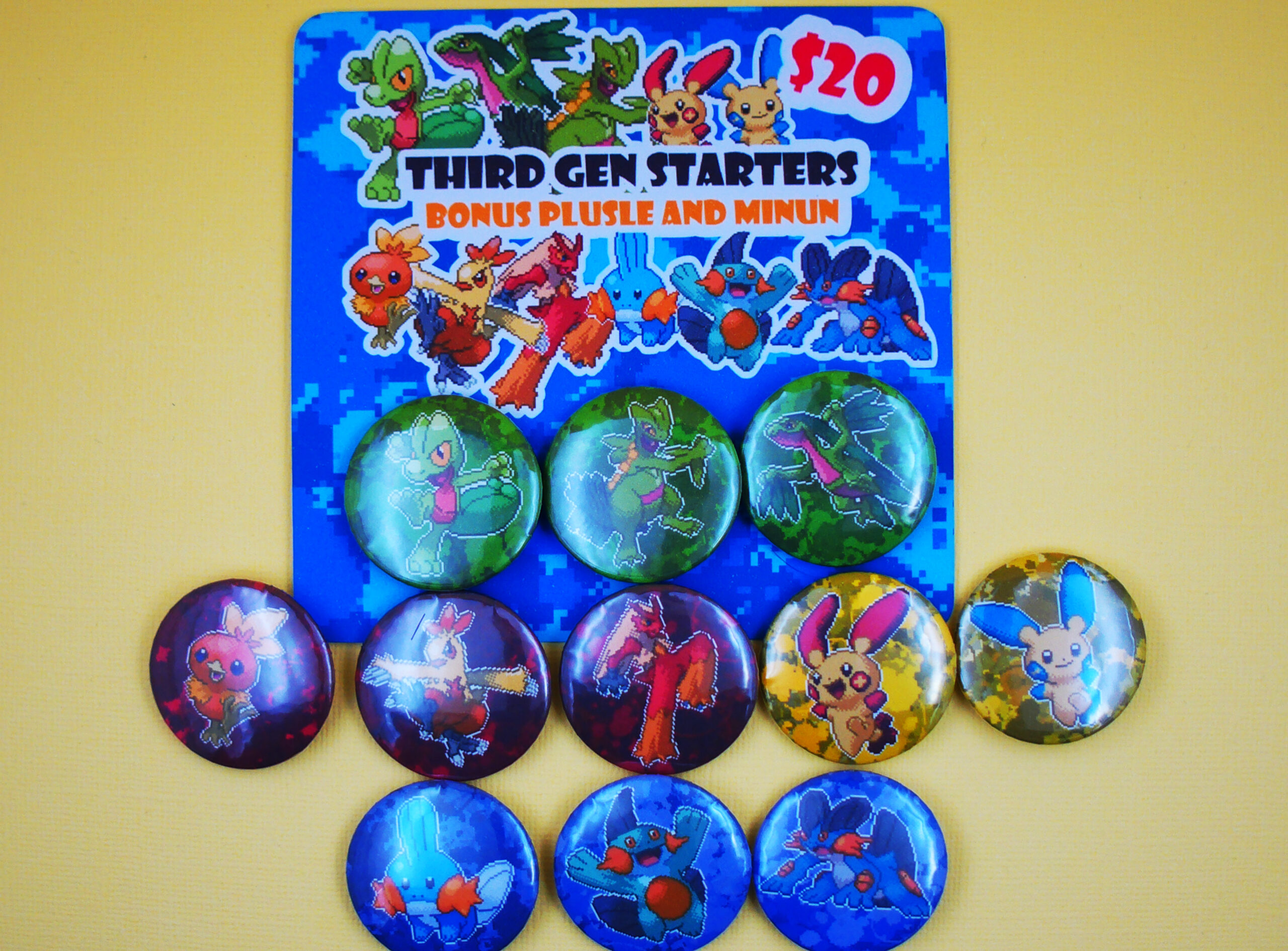 Third Generation Pokemon Starters